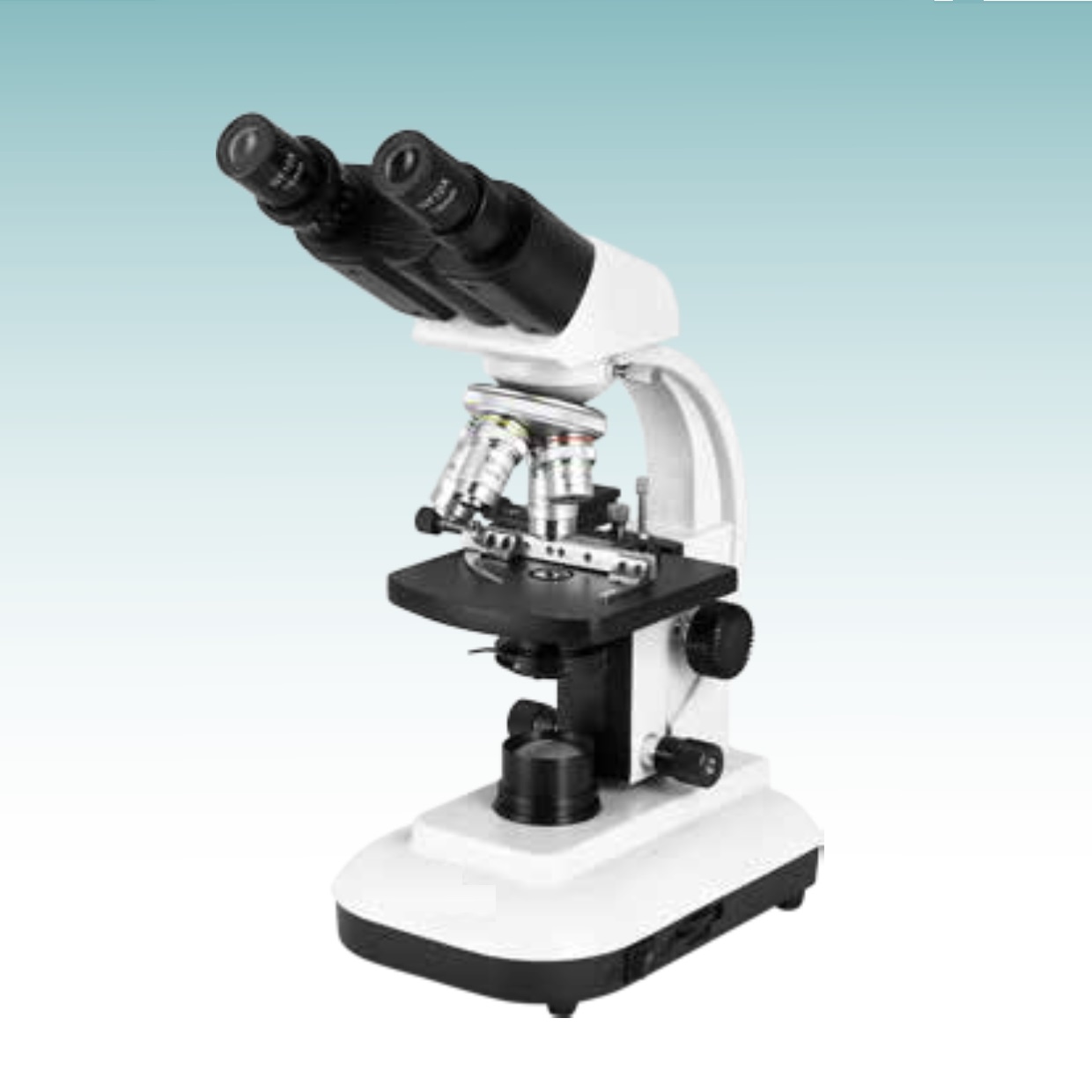 Hot Sale Biological Microscope (MT28107301) 