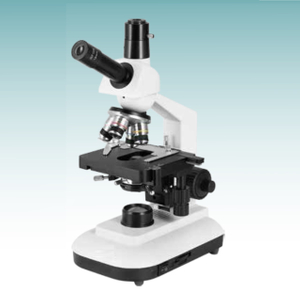 Hot Sale Biological Microscope (MT28107024) 