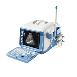 Hospital Portable 4D Ultrasonic Diagnostic System Machine (MT01006101)